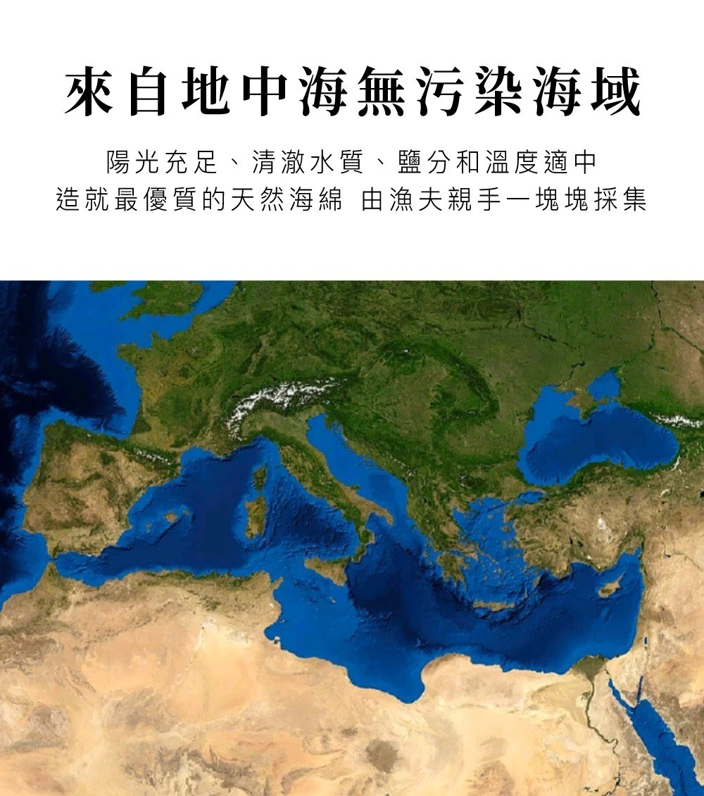 ∥OKBABY∥ Bellini 地中海天然蜂窩海綿