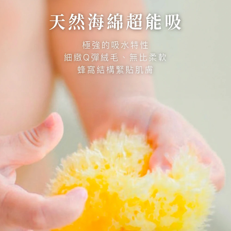 ∥OKBABY∥ Bellini 地中海天然蜂窩海綿