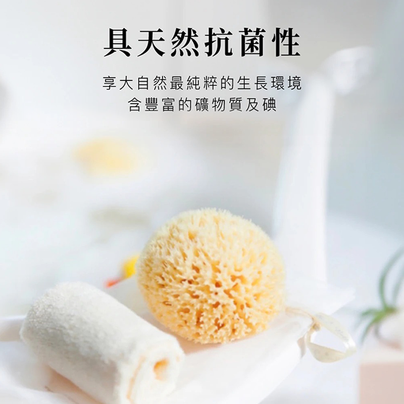 ∥OKBABY∥ Bellini 地中海天然蜂窩海綿