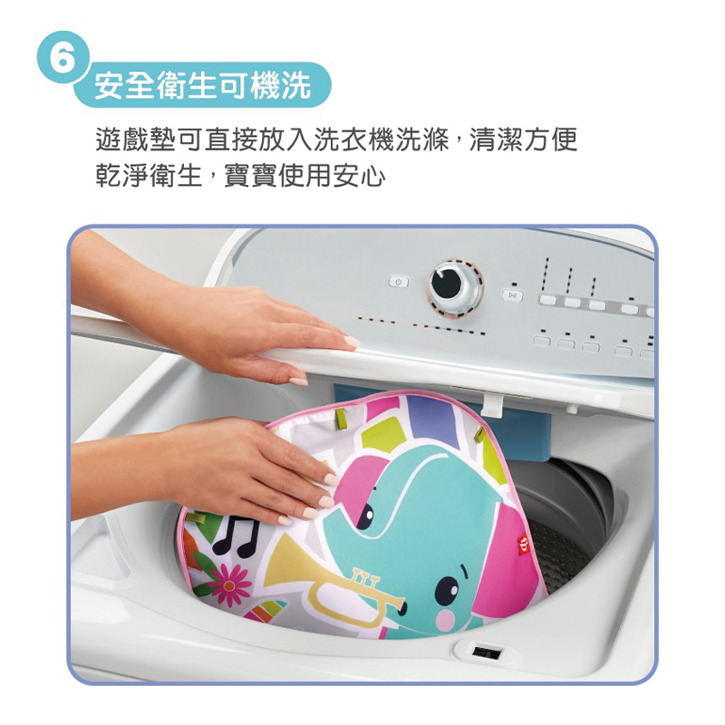 ∥費雪 Fisher-Price∥ 費雪可愛動物鋼琴健身器