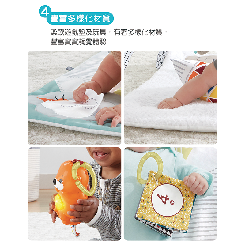∥費雪 Fisher-Price∥ 感官訓練可愛動物健身器
