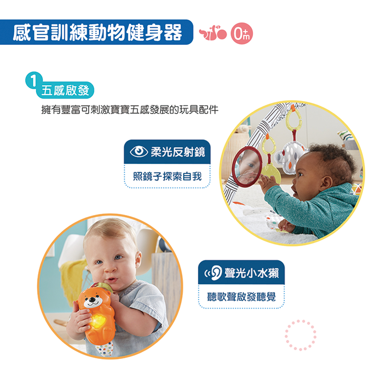∥費雪 Fisher-Price∥ 感官訓練可愛動物健身器