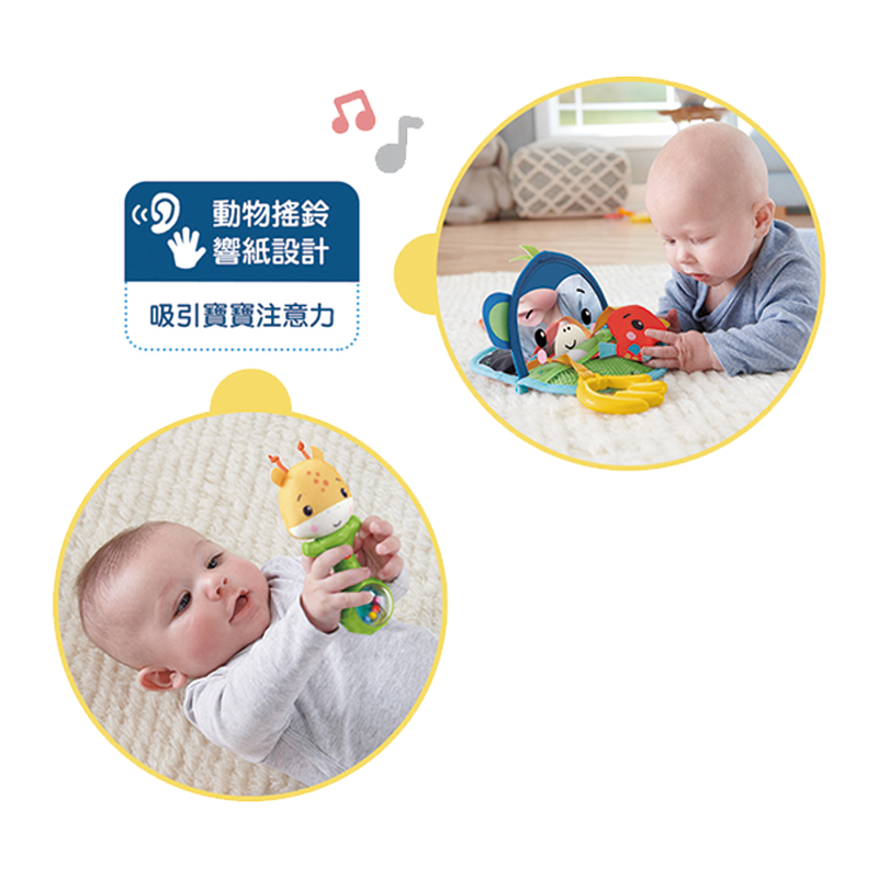 ∥費雪 Fisher-Price∥ 感官訓練套裝