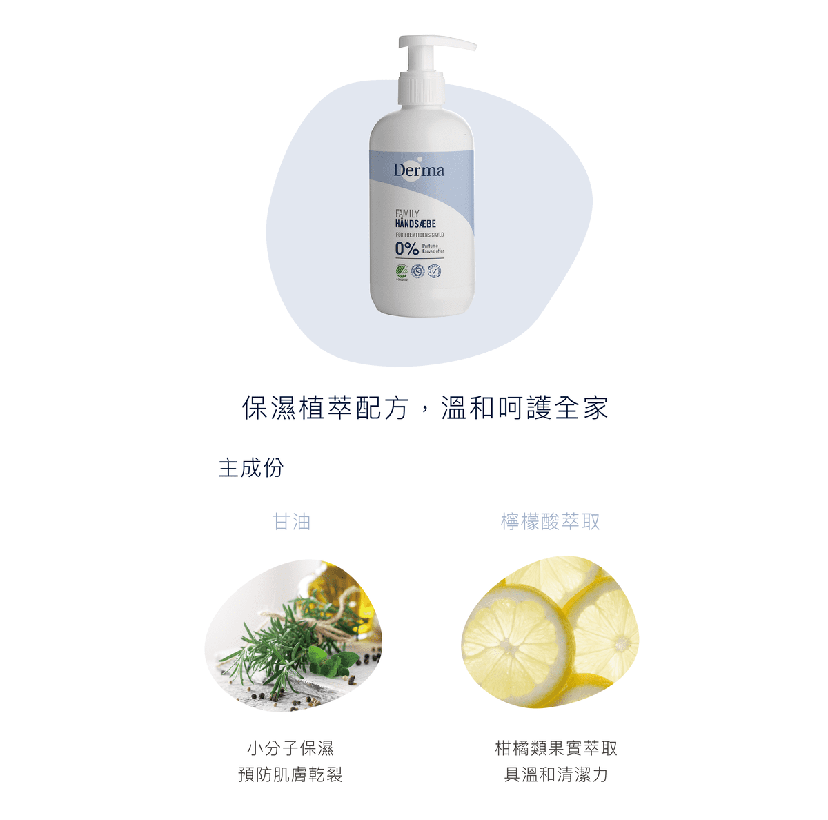 ∥丹麥德瑪 Derma∥ 保濕洗手露250mL