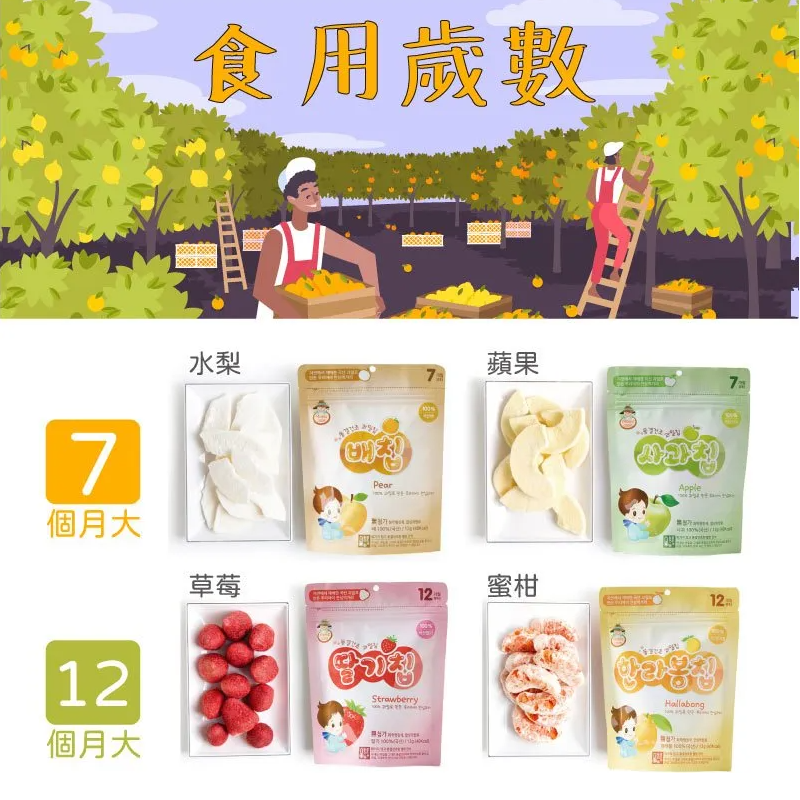 ∥韓爸田園日記∥ 寶寶乾水果片