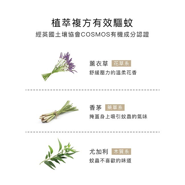 ∥小獅王辛巴∥ 長效薰衣草精油防蚊貼-恐龍圖鑑(32枚/16枚)