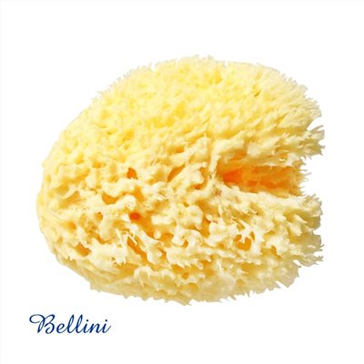 ∥OKBABY∥ Bellini 地中海天然蜂窩海綿