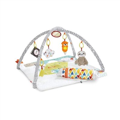 ∥費雪 Fisher-Price∥ 感官訓練可愛動物健身器