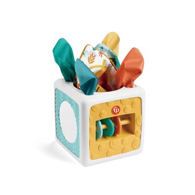 ∥費雪 Fisher-Price∥ 趣味活動方塊